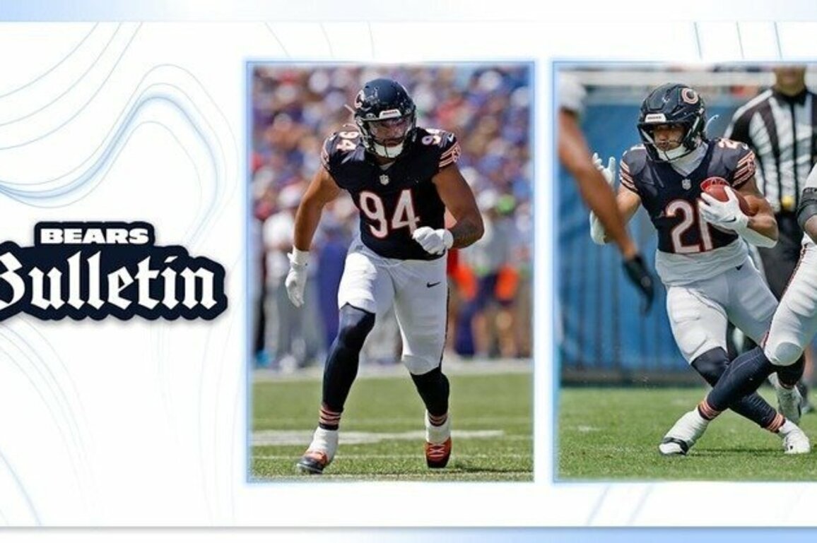 Bears designate Austin Booker, Travis Homer to return from IR