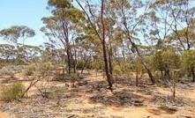  Lot 500, Great Eastern Highway, Yilkari. 92 hectares about 9km southwest of Kalgoorlie