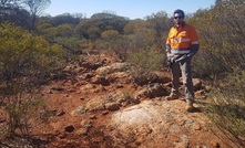  Global has found outcropping pegmatites 1km from Manna