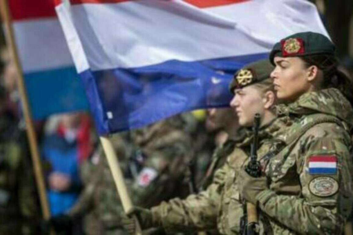 NATO state could triple army size - media