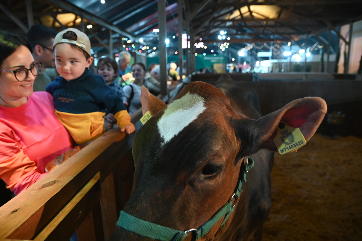 MALTA-TA'QALI-AGRIFAIR 2026