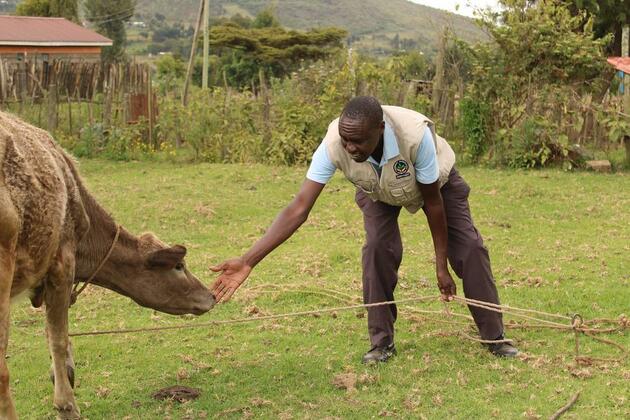 (Hello Africa) Guardians of Eburu: Kenyan community chronicles medicinal plants to protect forest