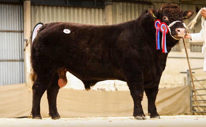 Cuil Tank, 18,000gns