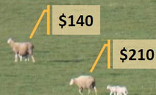  There can be huge variation in the annual income generated by individual ewes within a flock. Understanding individual performance can help drive decisions. Source: AgriPartner Consulting