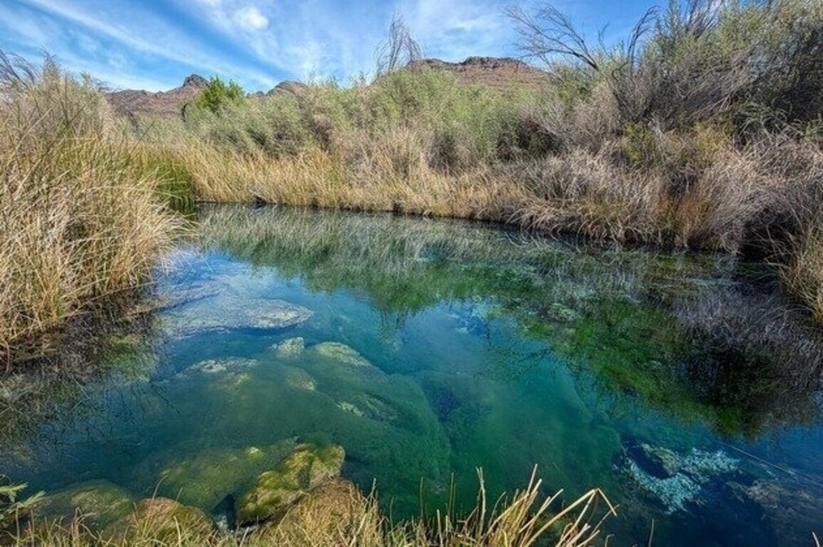 Amargosa named on list of 10 'most endangered' rivers