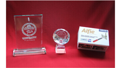 Awards Double for New Kid on the Block- Alfie