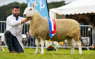 Ringside round up from Royal Lancashire Show  