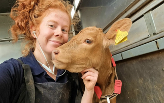 Amy Wilkinson, beef and arable farmer