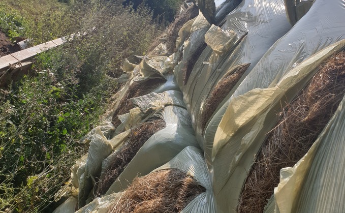 Damage to the farmer's winter feed resources (East Staffordshire Police)