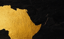 “Our investment in the platform will scale local processing capacity," Afreximbank president and chairman Dr George Elombi said