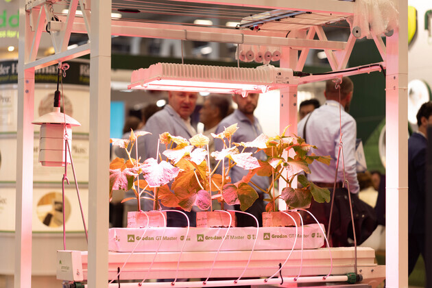 THE NETHERLANDS-AMSTERDAM-HORTICULTURE EXHIBITION