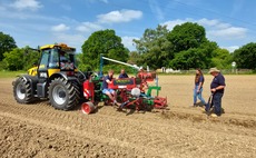 Strong demand means more vines for Kent's oldest vineyard