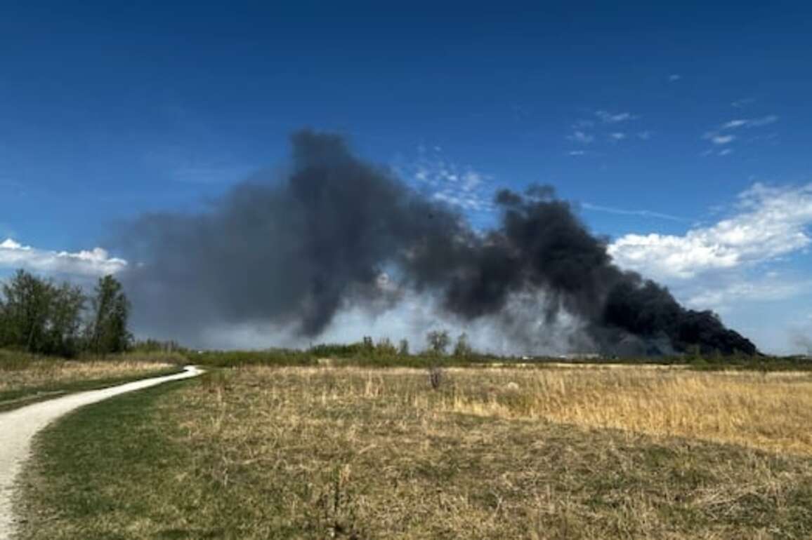 Grass fire damages multiple commercial businesses in Winnipeg's Transcona area