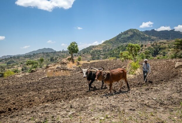 How Ethiopia&#039;s conflict has affected farming in Tigray