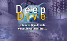 Deep Dive: Investors question necessity of semi-liquid funds over investment trusts 
