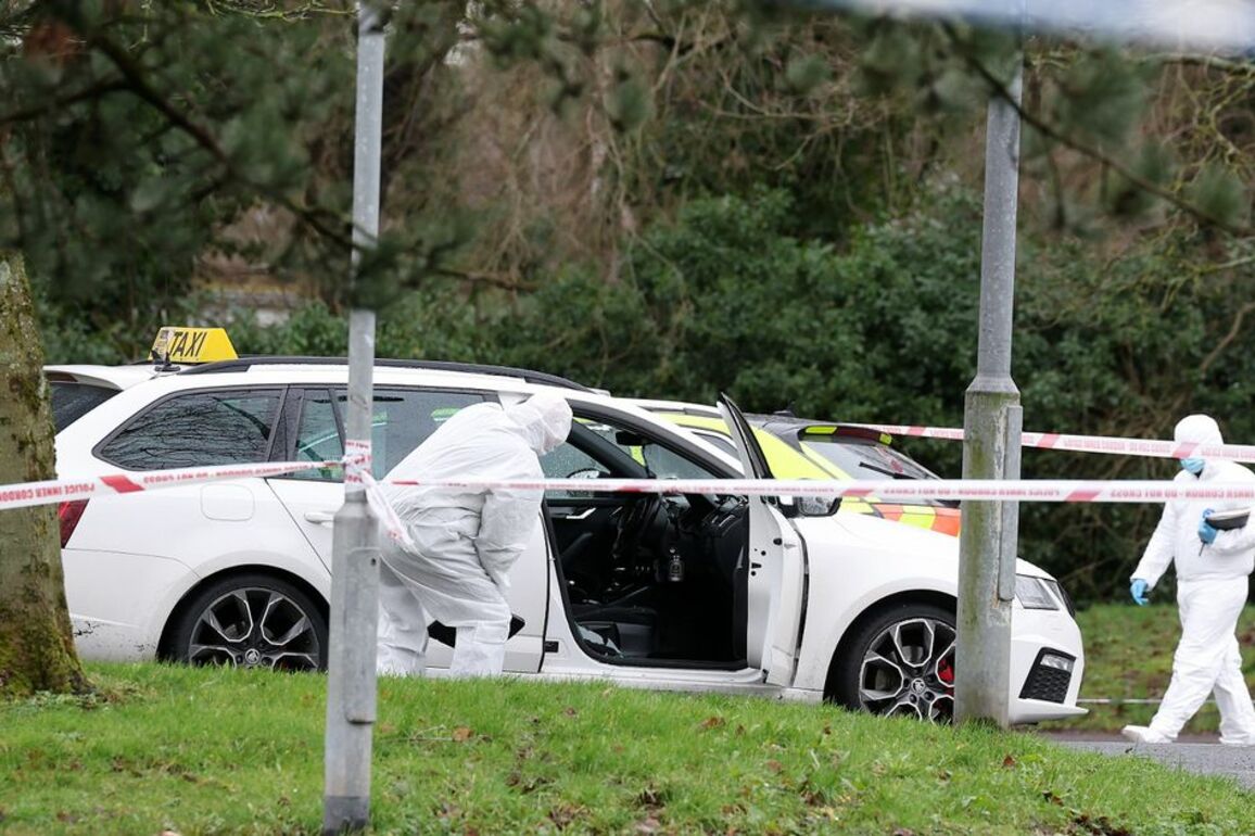 Shot Belfast taxi driver survived thanks to faulty gun, court told