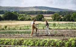 Letters: "There is nothing new about regenerative agriculture, it just wasn't called that back then"