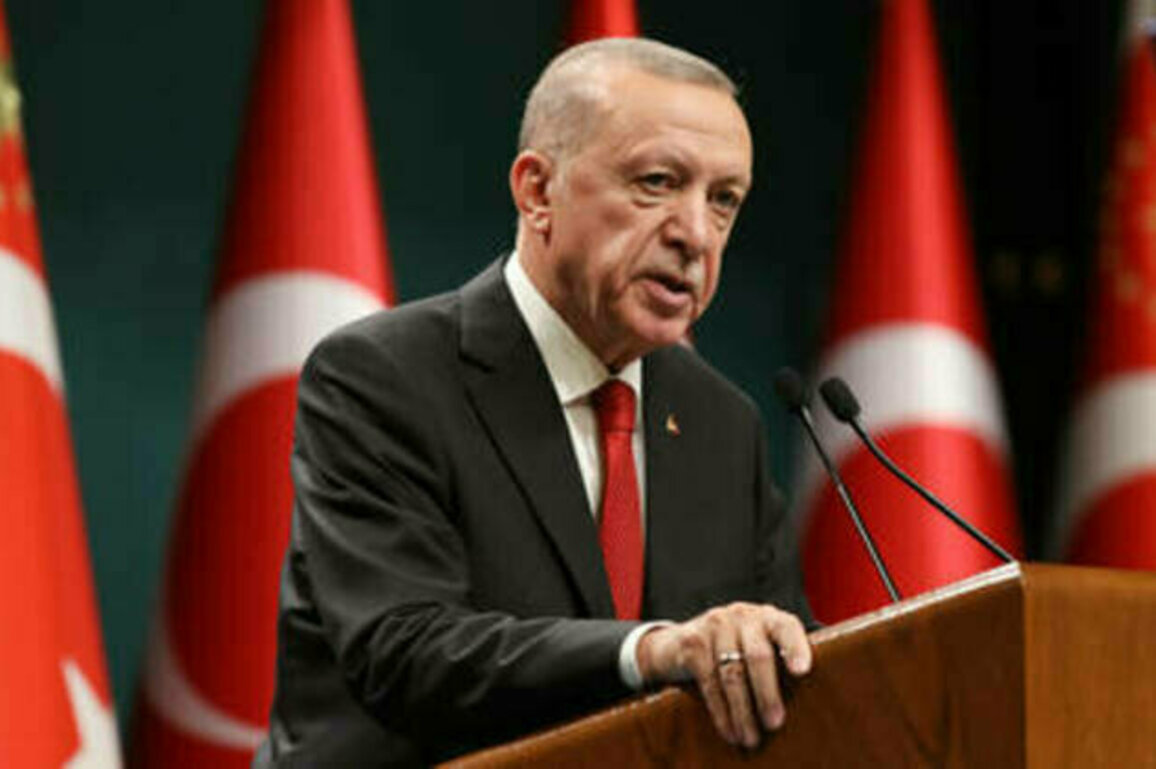 Erdogan accepts Putin's request to host Russia-Ukraine talks