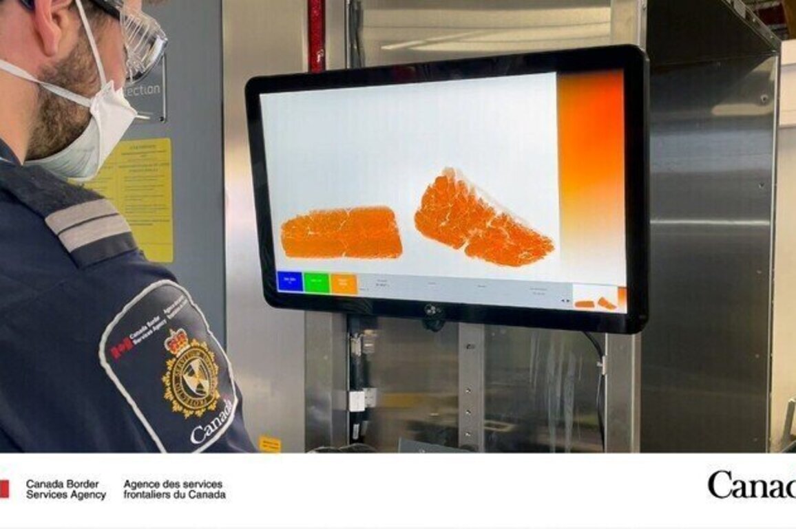 CBSA officers in Metro Vancouver seize over 200 kg of opium