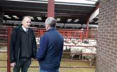 2001 UK foot-and-mouth outbreak - 25 years on: "Infectious diseases do not respect borders or species barriers, and we ignore this at our peril"