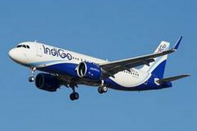 Mid-air collision of Indigo flights averted: DGCA to probe, assures strict action
