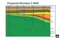 The wombat project 