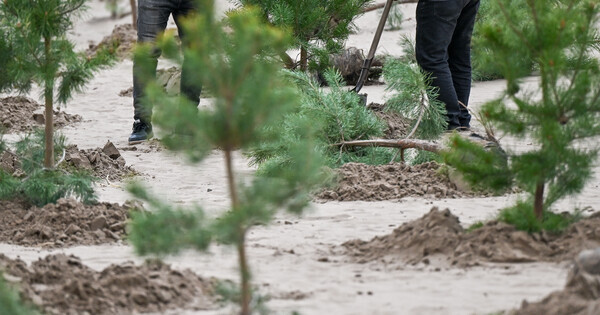 CHINA-INNER MONGOLIA-HORQIN-SAND CONTROL (CN)