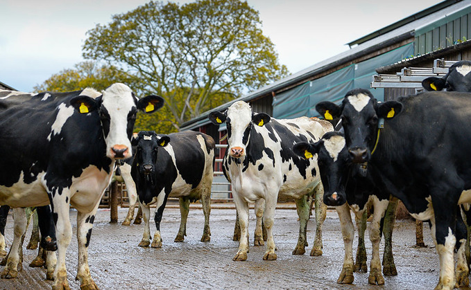 Farm leaders 'ignore' double dairy crisis