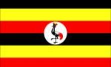  Uganda flag.