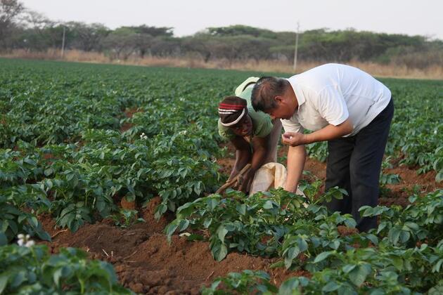 Interview: China's economic path inspirational for Global South, says Zimbabwean expert