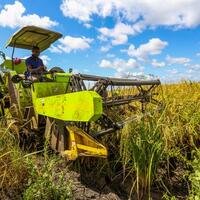 (Hello Africa) Chinese machines power new harvest season in Tanzania