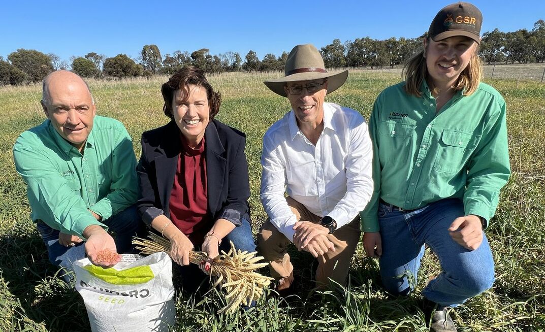 Nutrien seed category manager and Seednet regional manager, David Clegg, Agriculture and Food Minister, Jackie Jarvis, DPIRD senior principal research scientist Daniel Real and Nutrien Ag Solutions agronomist Tom Coleman. 