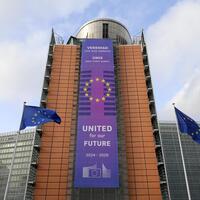 Interview: Spanish economist says EU gains little from new tariff deal with U.S.