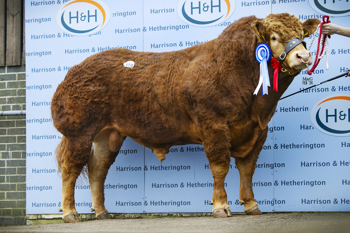 Gorrycam Turbo which sold for 32,000gns