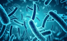  Certain microrobes can be used to oxidise or reduce metals