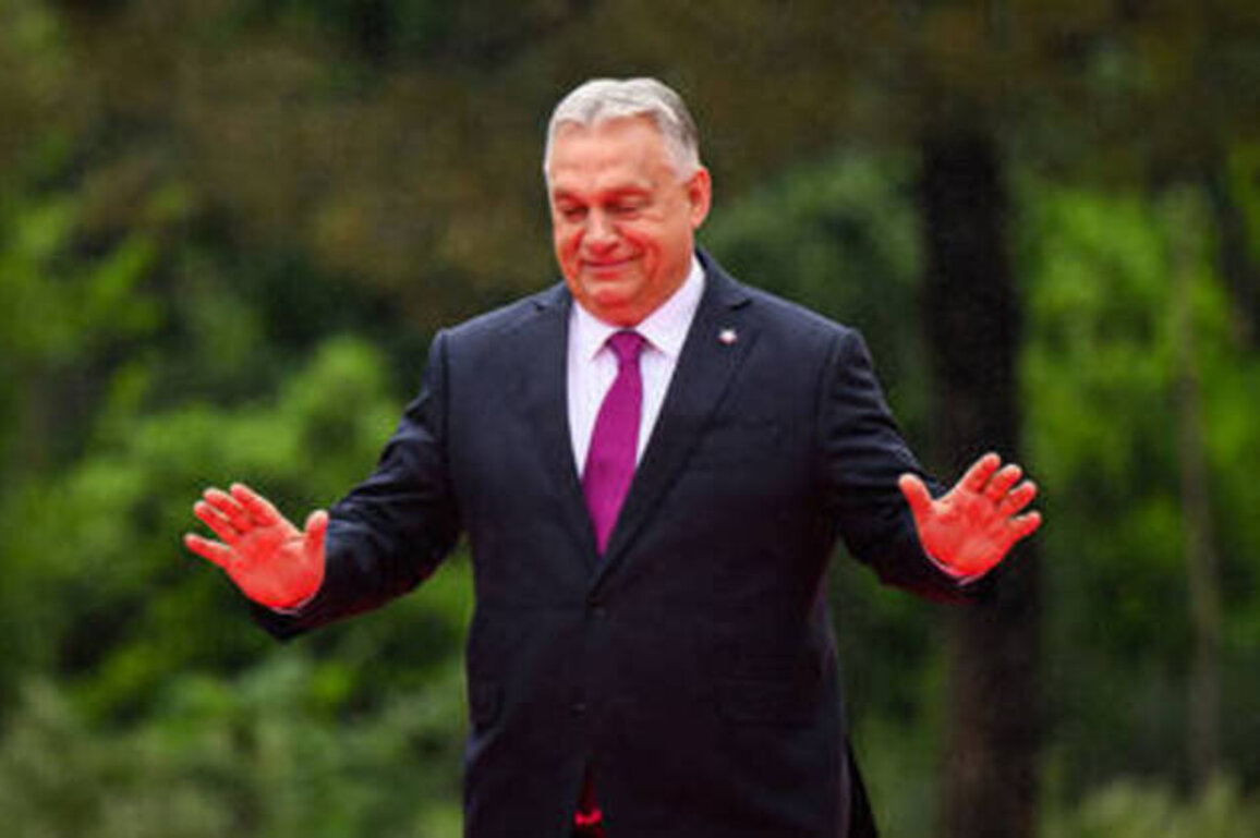 Orban accuses EU of telling Russian reparations 'fairy tales'