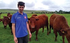 Young Farmer Focus: Nathan Rogers - 'Ten years ago I bought my first bulling heifer'