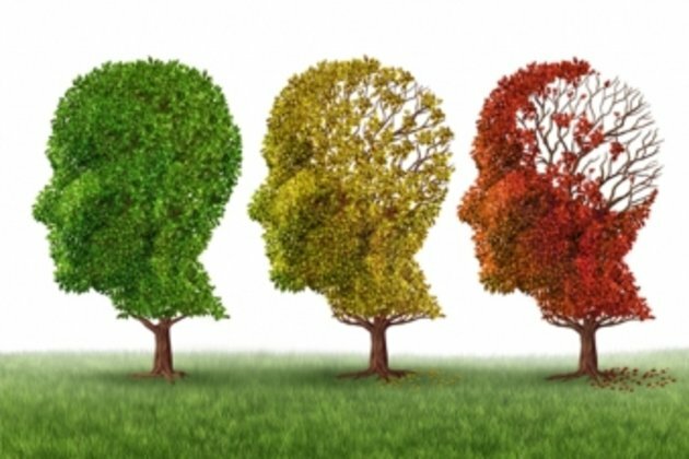 AI tool greatly scales up Alzheimer&apos;s research