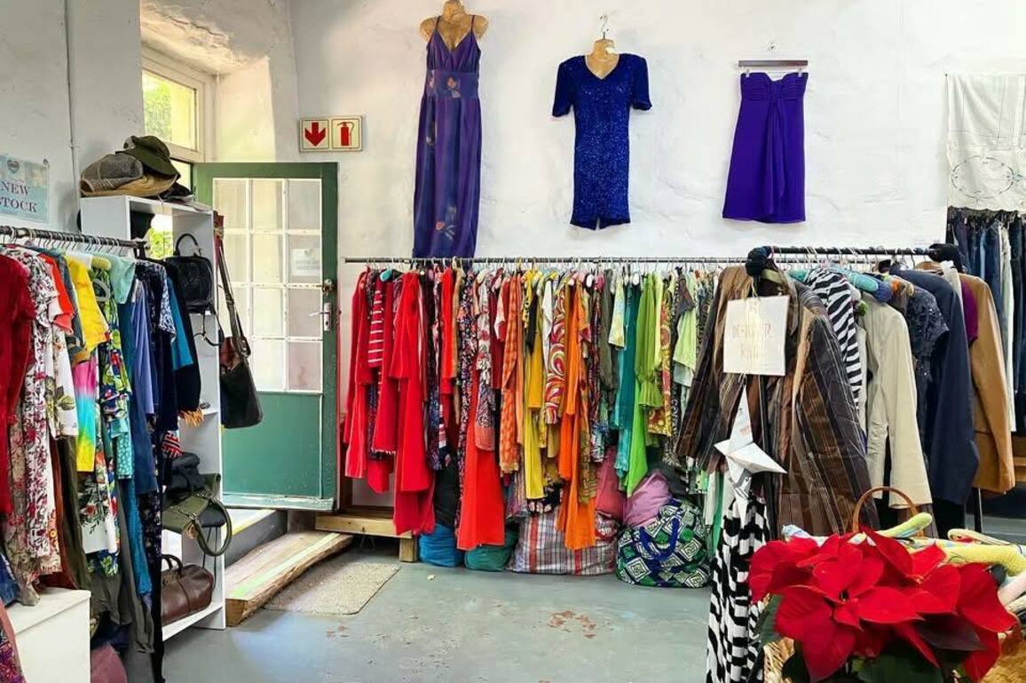 Consumer snapshot- Thrifting and second-hand shopping - The Media Online