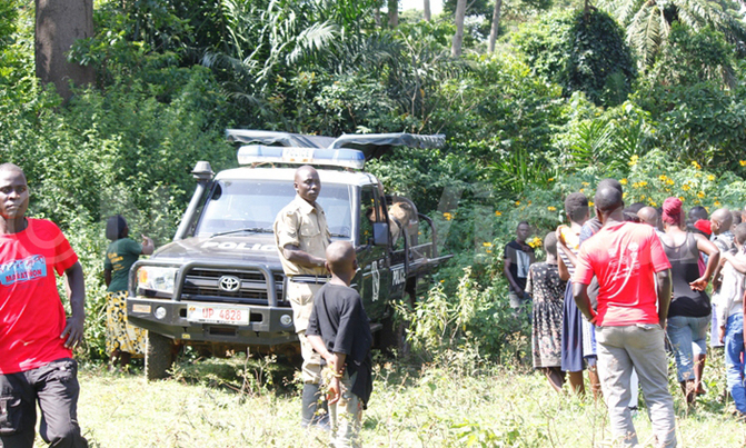 Man clobbered to death, body dumped in bush Man clobbered to death, body dumped in bush