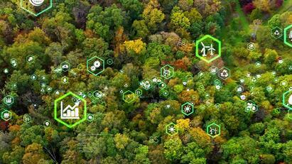 Five more BMF members become net zero Business Champions