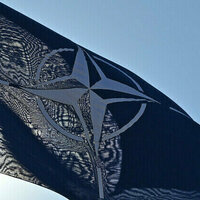 European NATO states have no political will  US envoy