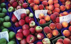 Food supply chain resilient enough to survive no-deal Brexit, says Defra Secretary 