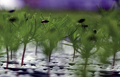 Tool helps cut waste, costs and carbon output