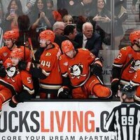 Indomitable at home, Ducks continue playoff chase against Jets