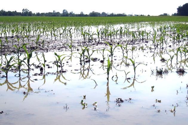 After 2023 floods, Vermont asks farmers to document crop damage