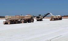  Harvesting at Beyondie