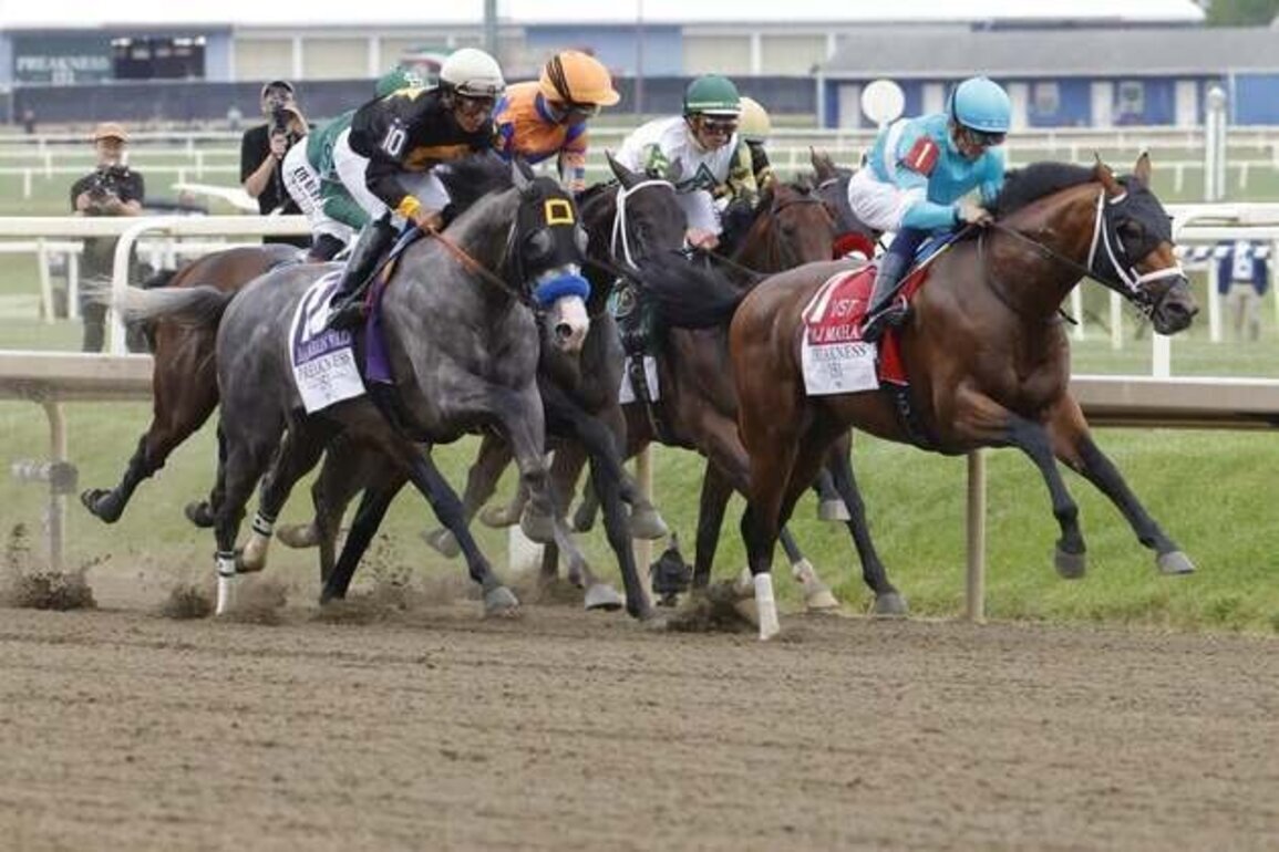 Napoleon Solo captures Preakness; top 3 did not run in Kentucky