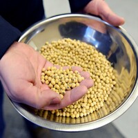 Bangladesh companies sign deal to buy USD 1 billion soybeans from US