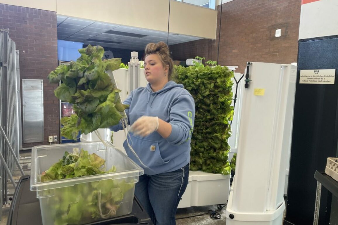 Schools Use Hydroponic Farms Designed in Wisconsin to Feed Students   Urban Milwaukee